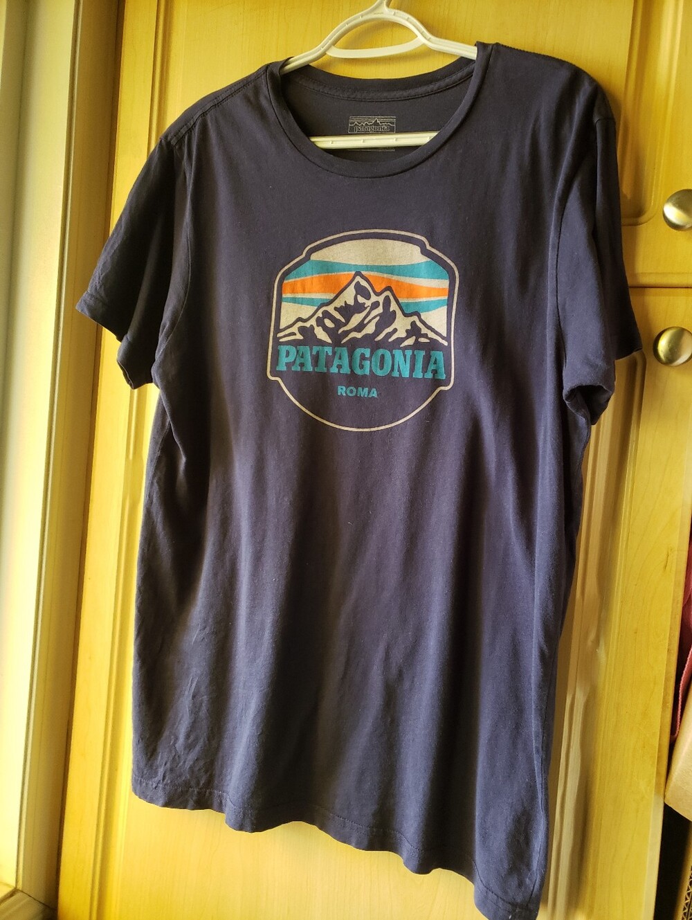 Patagonia Roma Organic Cotton Slim Fit Navy Short-Sleeve Tee